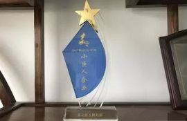意朗實業(yè)榮膺“2017年度嘉定區(qū)小巨人企業(yè)” !
