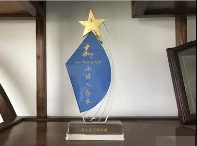 意朗實(shí)業(yè)榮膺“2017年度嘉定區(qū)小巨人企業(yè)” !.jpg